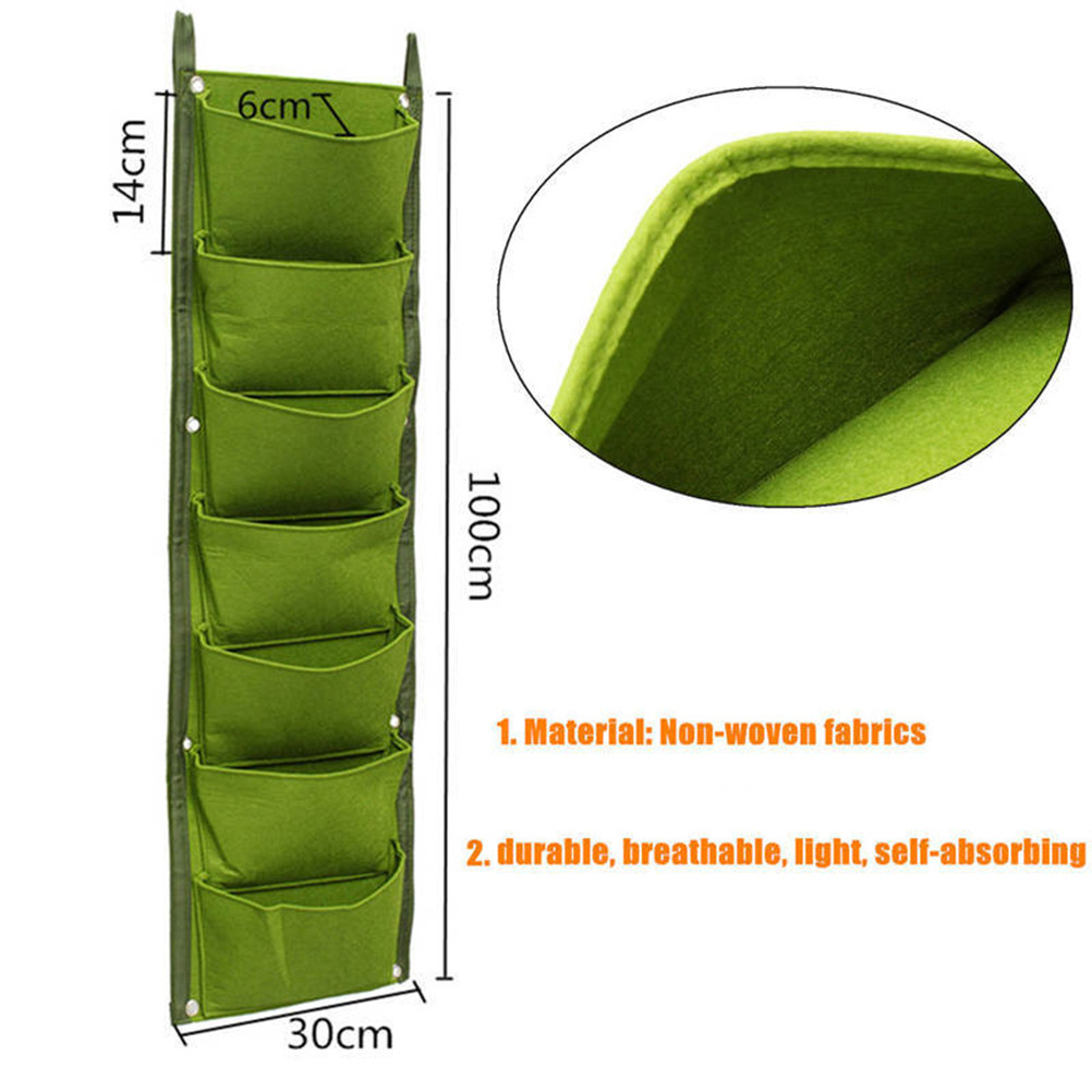 1Pcs Wall-Mounted Plant Nutrit - Nutrition & Fitness Station 评论和价格