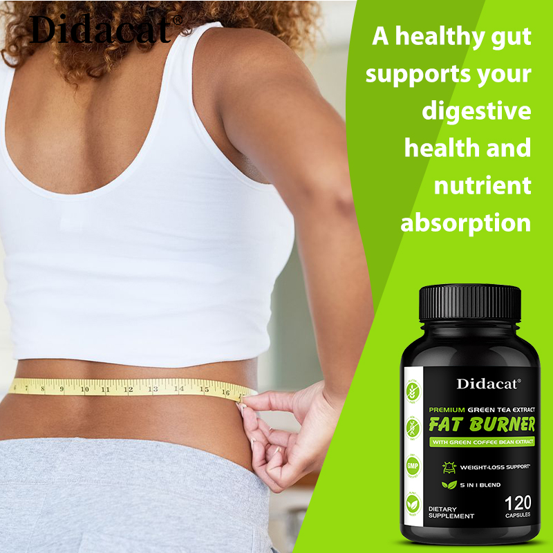 Garcinia Cambogia, Green Tea E - Green Tea Extract Fat 评论和价格