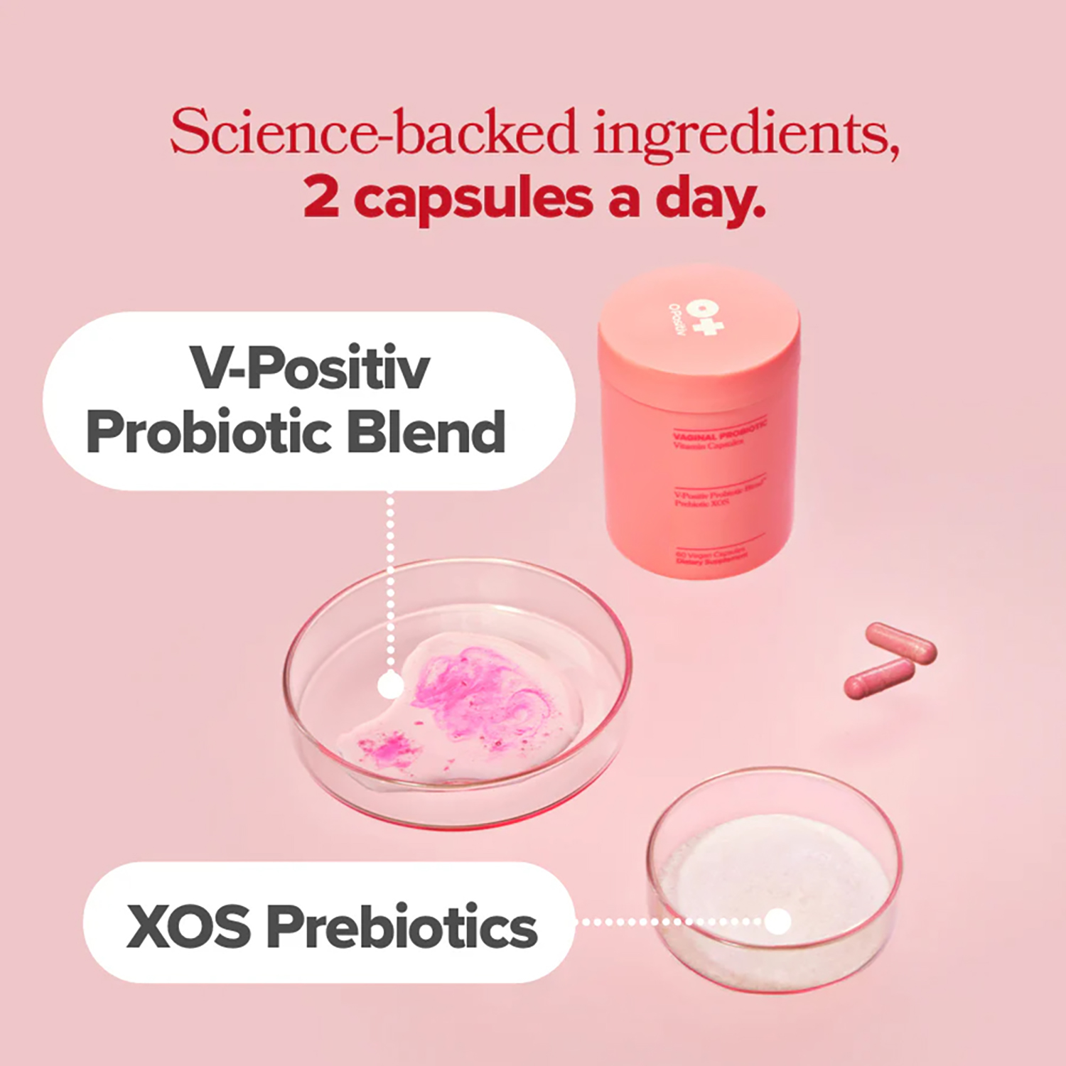 Vagianl Probiotics for Women p - Probiotics Women Health 评论和价格