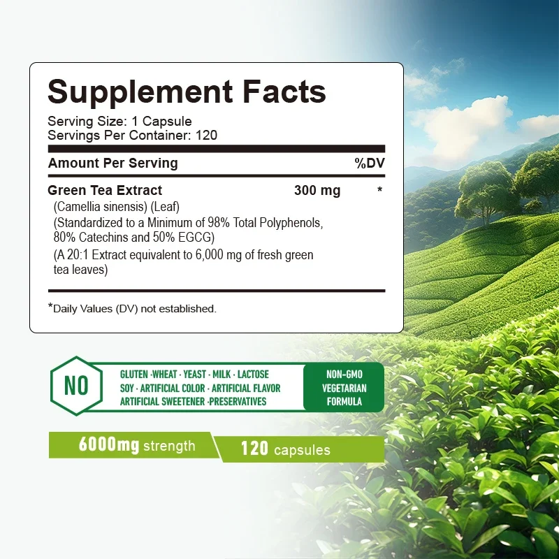 Green Tea Capsules - Belly Fat - Green Tea Extract Fat 评论和价格