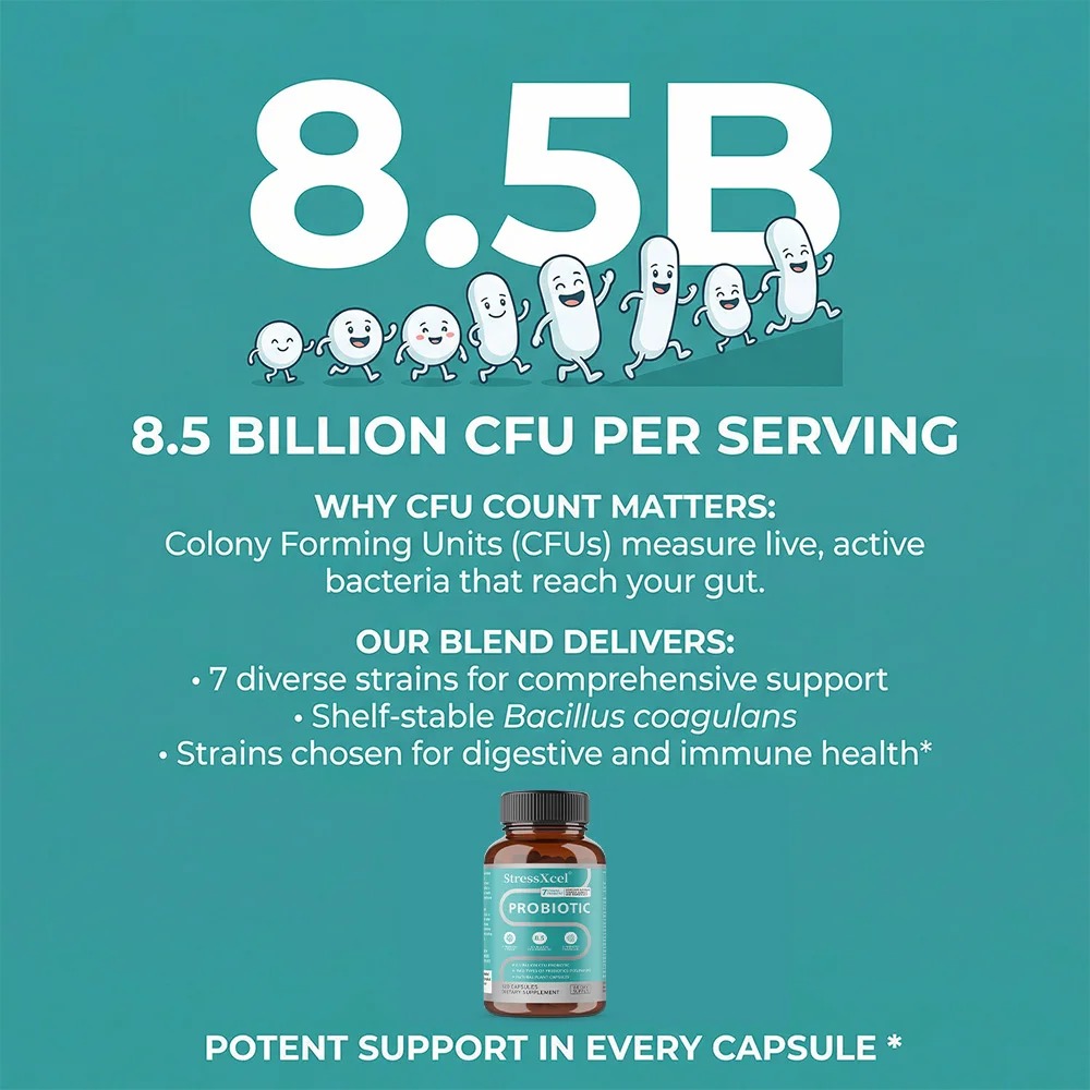 Probiotics 8.5 Billion CFUs -  - Probiotics Women Health 评论和价格